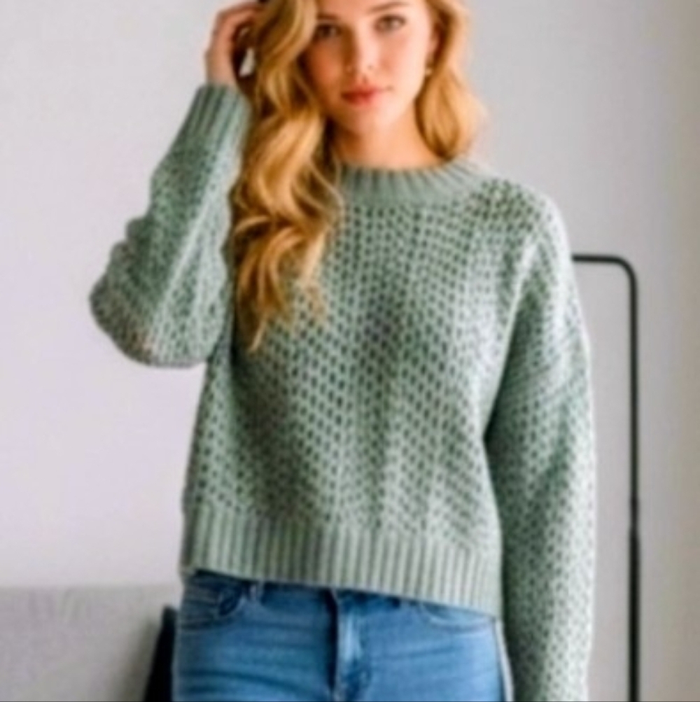 Stitch Fix Pink Rose Open-Knit Cropped Sweater in Soft Green
